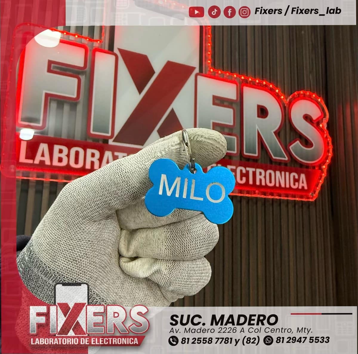placas de perro